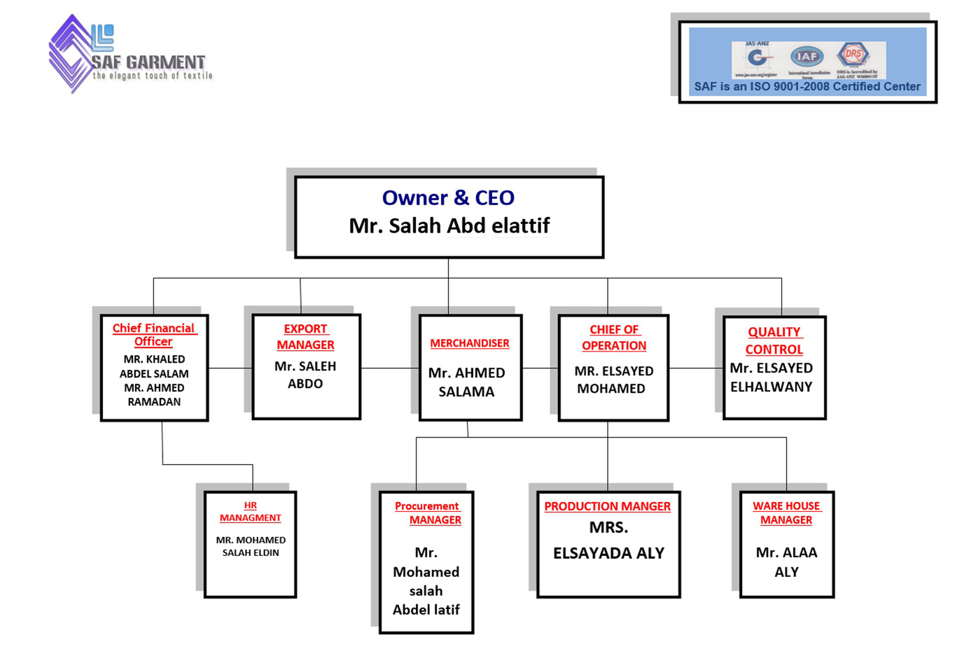 Saf Org Chart